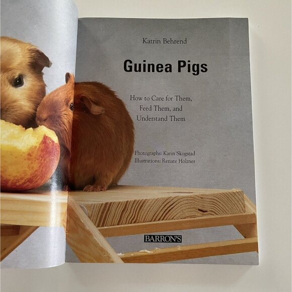Guinea Pigs Family Pet Series Katrin Behrend Barron's Paperback Care Guide - Picture 7 of 12